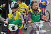 IMG_2183_798x532.jpg