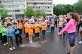 IMG_2116_798x532.jpg