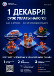 ФНС. Что такое налоговое уведомление и как его исполнить? Что делать, если налоговое уведомление не получено? Как получить и оплатить налоговое уведомление через ЕПГУ? Основные изменения в налогообложении имущества