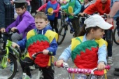 IMG_2184_798x532.jpg
