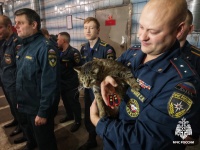 Кот-пожарный Толик получил первое звание