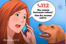 Потерялась собака!