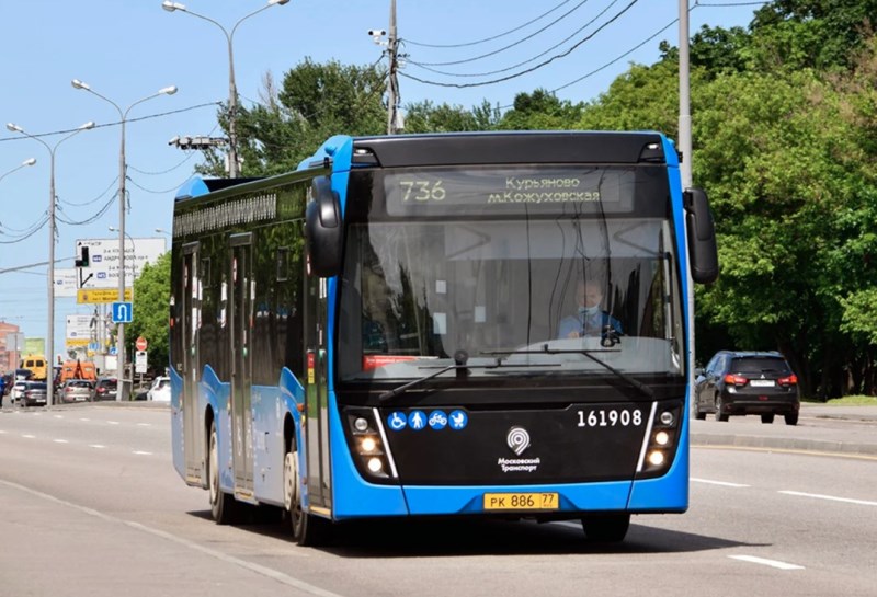 736.jpg